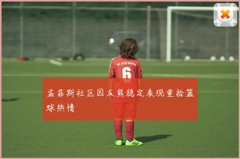 孟菲斯社区因灰熊稳定表现重拾篮球热情