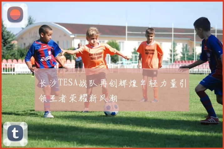 长沙TESA战队再创辉煌年轻力量引领王者荣耀新风潮